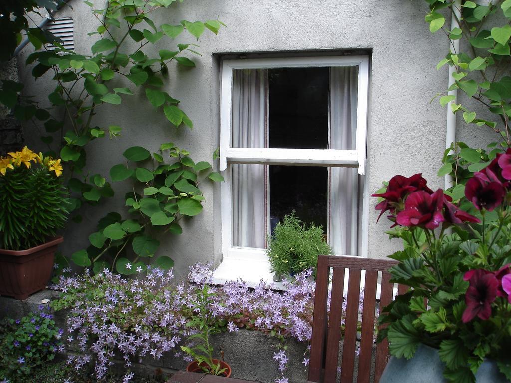 Harrington House Hostel Dublin Exteriér fotografie